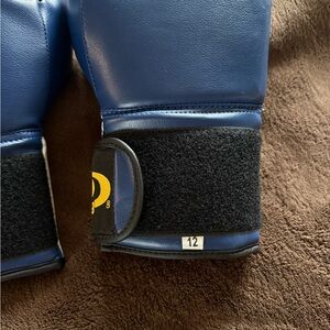 Blue Boxing Gloves